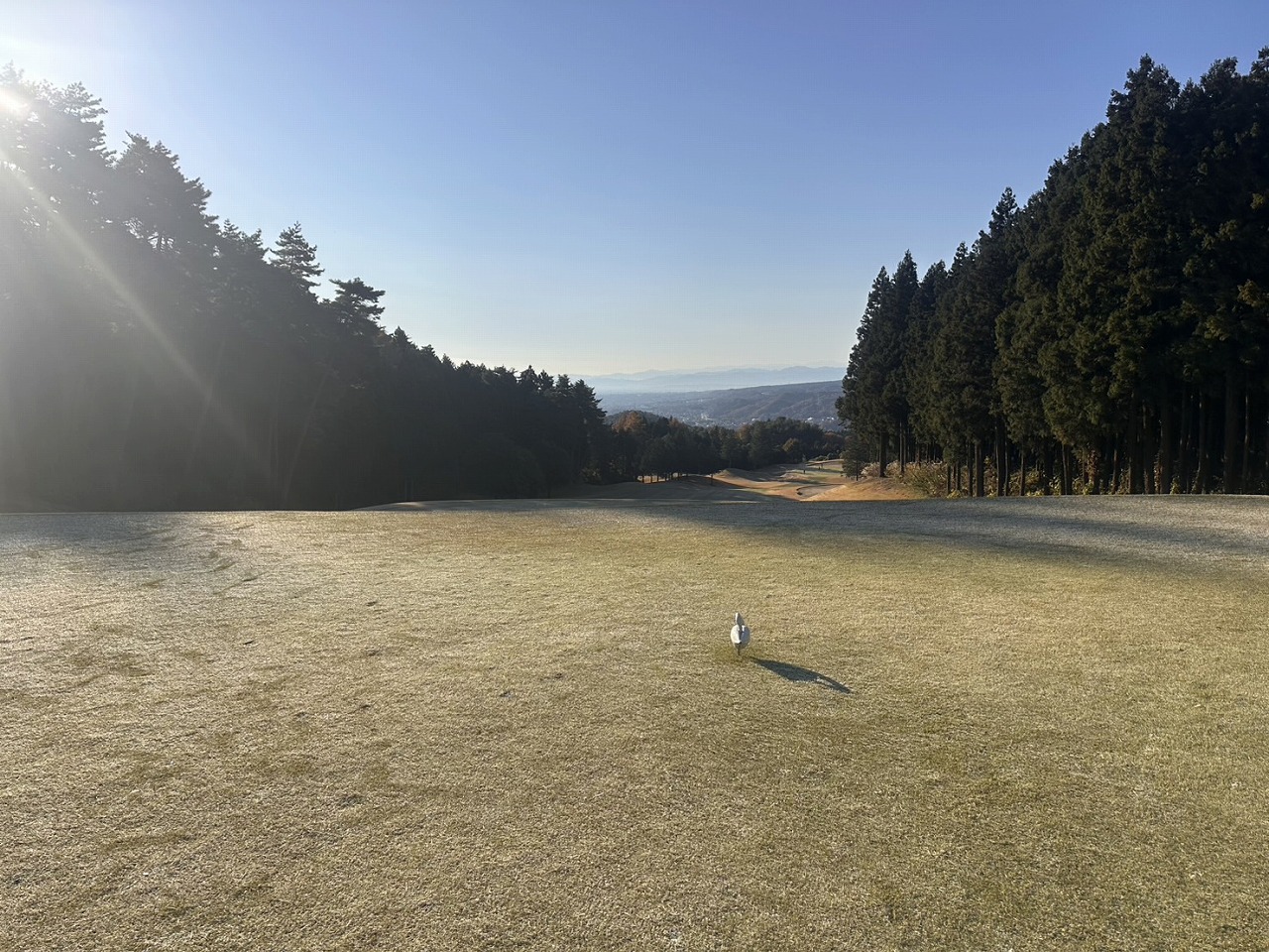 ⛳️秋晴れのゴルフコンペ！山の郷様ありがとうございました。